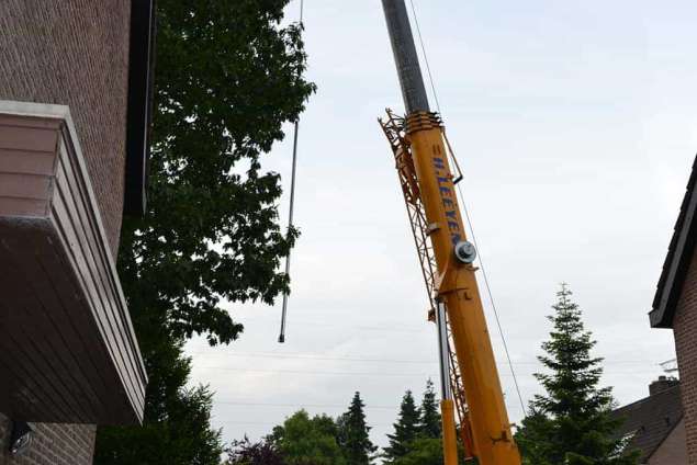 Hardenberg bomen rooien